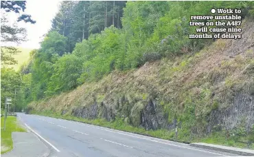  ??  ?? ● Wotk to remove unstable trees on the A487 will cause nine months of delays