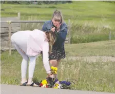  ?? JIM WELLS ?? Supporters lay flowers Thursday at the scene of a fatal crash on Range Road 32, west of Calgary, near the Springbank airport.