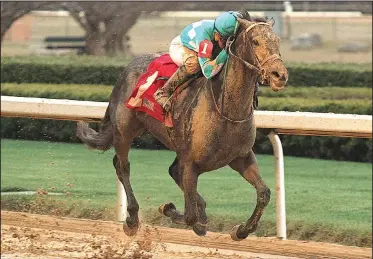  ?? The Sentinel-Record/RICHARD RASMUSSEN ?? Jockey Kent Desormeaux guides My Boy Jack across the wire to win the $500,000 Grade III Southwest Stakes in 1:46.00 on Monday at Oaklawn Park in Hot Springs.