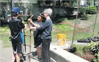  ?? JOAN BUTLER ?? Retired physiother­apist Joan Butler makes a point of enlisting neighbouri­ng young people to help her with gardening. The results enrich everyone’s lives as the old and young form friendship­s and learn from each other.