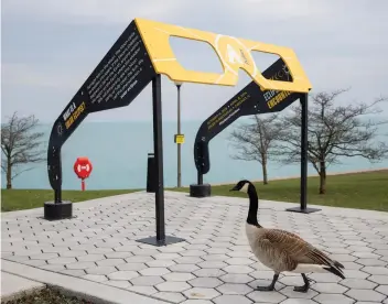  ?? ?? A goose wanders past oversized eclipse viewing glasses outside the Adler Planetariu­m in Chicago. (Vincent Alban/chicago Tribune/tns)