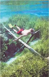  ?? JOE BURBANK/ORLANDO SENTINEL ?? A snorkeler checks out the crystal-clear waters at Rainbow Springs State Park.