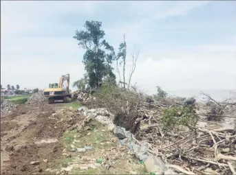  ??  ?? Another excavator placing rocks along the shoreline in Ruimzigt, West Coast Demerara last week. Cleared vegetation can be seen on the right.