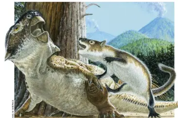  ?? ?? The fossil reveals a prehistori­c duel between vertebrate classes, a hunting sequence frozen in rock. This illustrati­on shows their possible appearance; the mammal may have chased down the tiring reptile.