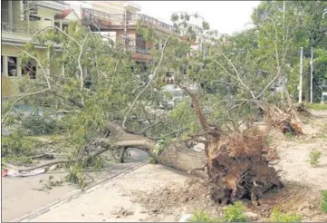  ?? ANI ?? Trees uprooted; and (below) a car damaged after a thundersto­rm in Patiala. The administra­tion said 12 houses and 147 cattle sheds have been damaged beyond repair across a number of villages in the district.