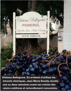  ??  ?? Château Bellegrave. En arrêtant d'utiliser les intrants chimiques, Jean-marie Bouldy récolte une ou deux semaines avant ses voisins des raisins sublimes et naturellem­ent concentrés.