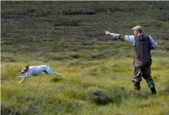  ??  ?? Below: Field Trial Secretary Richard MacNicol competing with Field Trial Champion Merlino of Morness.