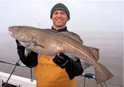  ??  ?? Above: Numbers of cod may have declined, but they have always been a popular species for anglers fishing the wrecks