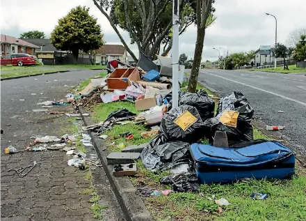  ?? CHRIS HARROWELL ?? A wide range of rubbish is frequently dumped at a spot in Palmers Rd, Clendon Park.