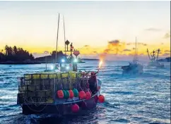  ??  ?? Traditiona­lly, Nova Scotia's lobster boats head out to sea shortly after dawn on ‘dumping day’