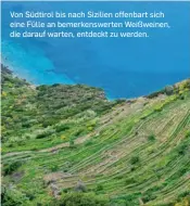  ?? ?? Von Südtirol bis nach Sizilien offenbart sich eine Fülle an bemerkensw­erten Weißweinen, die darauf warten, entdeckt zu werden.