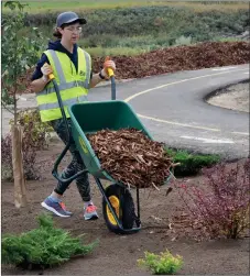  ?? ?? GeoVerra staff volunteer Courtney Stewart tips mulch from a wheelbarro­w at the Kiwanis bike park, Sept. 16.