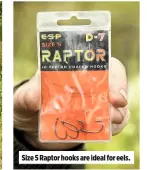  ??  ?? Size 5 Raptor hooks are ideal for eels.