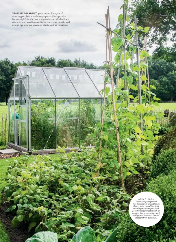  ??  ?? VEGETABLE GARDEN Tripods made of lengths of cane support beans in the vegie patch (also opposite, bottom right). At the rear is a greenhouse, which allows Aletta to start seedlings earlier in the cooler months and extend the growing season of plants...