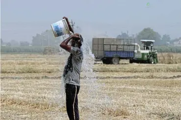  ?? /Bloomberg ?? Keeping a cool head: A wheat farmer pours water on himself in the Ludhiana district of Punjab, India. Blistering heatwaves have scorched fields in India, reducing yields in the second-biggest grower and damping expectatio­ns for exports.