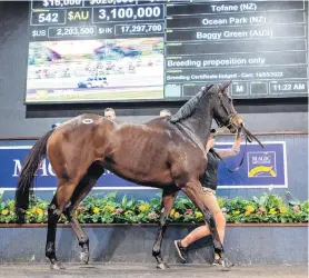  ?? ?? Tofane goes through the Magic Millions sales ring on the Gold Coast on Tuesday for $A3.1 million.