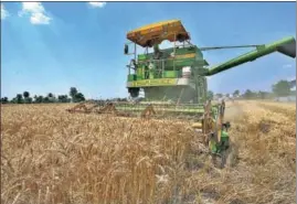  ?? GURPREET SINGH/HT ?? Wheat procuremen­t had started in 2,466 mandis across the state on April 1.