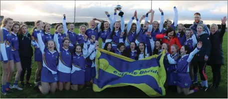  ??  ?? The victorious Coláiste Bhríde (Carnew) squad.