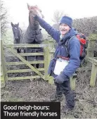  ??  ?? Good neigh-bours: Those friendly horses