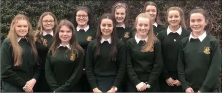  ??  ?? The Future of Farming group from FCJ, Bunclody.
