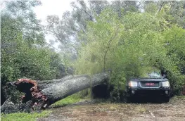  ??  ?? A downed tree rests against a car in Ormond Beach, Florida.