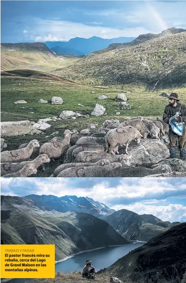  ??  ?? TRABAJO Y PAISAJE El pastor francés mira su rebaño, cerca del Lago de Grand Maison en las montañas alpinas.