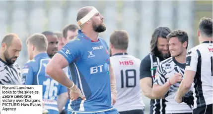  ??  ?? Rynard Landman looks to the skies as Zebre celebrate victory over Dragons PICTURE: Huw Evans Agency