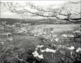  ??  ?? Mountain Mary became a pioneer model for anyone who lived alone in the Oley Valley, especially hard-working immigrants who were sold into servitude by greedy Colonial sea captains as indentured servants for their passage to the New World.