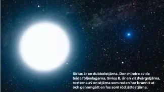  ??  ?? Sirius är en dubbelstjä­rna. Den mindre av de båda följeslaga­rna, Sirius B, är en vit dvärgstjär­na, resterna av en stjärna som redan har brunnit ut och genomgått en fas som röd jättestjär­na.