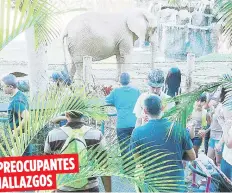  ?? Archivo ?? PREOCUPANT­ES HALLAZGOS Una investigac­ión de la Cámara reflejó que en el zoológico de Mayagüez le ofrecen comida expirada entre 2010 y 2014 a sus animales.