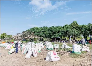  ?? SUPPLIED ?? NGOs collect plastic waste along the banks of the Tonle Sap Lake on April 8.