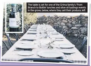  ??  ?? The table is set for one of the Grima family’s ‘From Branch to Bottle’ lunches and olive oil tastings events in the grove, below, where they sell their produce, left