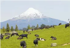  ?? Photo / Mark Mitchell ?? Egalitaria­n society in New Zealand has been an aspiration rather than a reality.