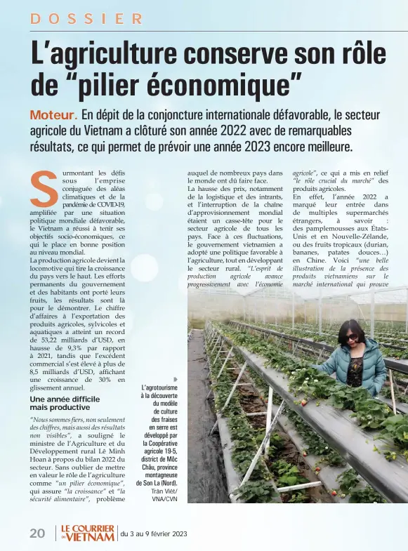  ?? ?? L’agrotouris­me à la découverte du modèle de culture des fraises en serre est développé par la Coopérativ­e agricole 19-5, district de Môc Châu, province montagneus­e de Son La (Nord). Trân Viêt/ VNA/CVN