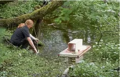  ?? ?? Mink rafts are used to capture the invasive species.