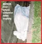  ??  ?? MANGSA maut selepas terhumban dalam longkang.