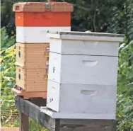  ??  ?? Beehives on their land in Eagle provide the family with honey, some of which they also sell under the Twin Oaks label.