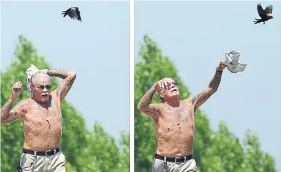  ?? SCOTT GARDNER/THE HAMILTON SPECTATOR FILE PHOTO ?? A pair of protective birds on the Hamilton beach strip buzz a passerby they feel is getting too close to their nest.