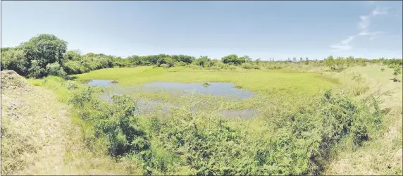  ??  ?? La laguna del Parque Guasu es uno de los puntos bellos del lugar y se encuentra a metros de la obra de piletas, que fue parado por afectar el ambiente.