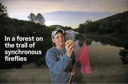  ?? PHOTOS BY GENE J. PUSKAR — THE ASSOCIATED PRESS ?? Peggy Butler, organizer of the Pennsylvan­ia Firefly Festival looking at some fireflies in a jar during an evening hike overlookin­g the Tionesta Creek and Firefly Island, left rear, in Kettlevill­e, Pa. For several weeks in June each year people from around the world make the trek to this northwest Pennsylvan­ia forest to see all manner of fireflies.