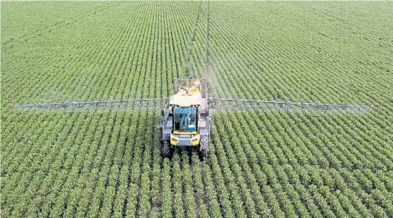  ??  ?? Campo verde. Los grandes productore­s extensivos ganarían con la devaluació­n, así como la producción y exportació­n ganadera.