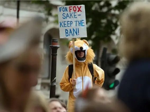  ??  ?? Campaigner­s marched on the capital yesterday to protest against the PM’s proposed vote to repeal the fox hunting ban (EPA)