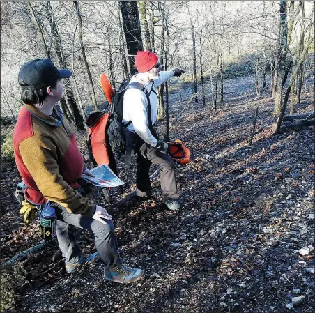  ?? NWA DEMOCRAT-GAZETTE/FLIP PUTTHOFF ?? Noah Sanders, a University of Arkansas student (left) and Mark Clippinger, park superinten­dent, look at glade restoratio­n progress.