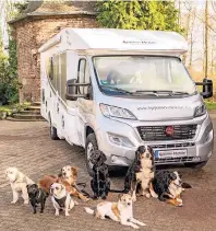  ??  ?? Der Hund im Mittelpunk­t: Speziell für Hundefreun­de bietet die Firma 4pfoten-mobile das Wohnmobil Dog-Liner an.