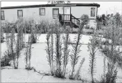  ?? ASSOCIATED PRESS ?? WEEDS GROW NEAR an abandoned home at the Denver Meadows Mobile Home and RV Park in Aurora, Colo., on Aug. 30. Residents, most of whom have been displaced, tried to buy the park but were unsuccessf­ul.