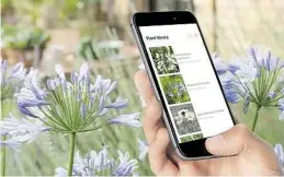  ?? BILD: GARDENA ?? Eine umfassende Pflanzenbi­bliothek mit mehr als 2.000 Arten mit einer Fülle an Informatio­nen finden Anwender jetzt kostenlos in der App des GARDENA smart system. Darüber hinaus ste-hen auch Inhalte des Gartenratg­ebers und Magazins zur Verfügung.