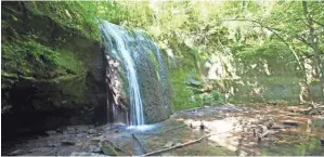  ??  ?? Stephens Falls tumbles 20 feet over a rock face at Governor Dodge State Park outside Dodgeville.