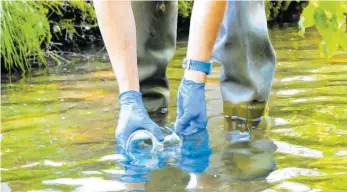  ?? FOTO: BAUDEPARTE­MENT, KANTON ST.GALLEN ?? Um Rückstände von Medikament­en, Süßstoffen oder anderen organische­n Substanzen im Bodensee und seinen Zuflüssen zu untersuche­n, werden Wasserprob­en entnommen.