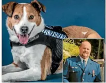  ??  ?? NZ Police dog Tasman ‘‘Tas’’ is the only cross-breed animal in service with (inset) her police officer Matthew Fage.