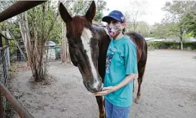  ??  ?? Horsepuppy is the unofficial mascot of the Northwood neighborho­od. Mistreated by other horses in his youth, he craves human interactio­n, Mclernon says.